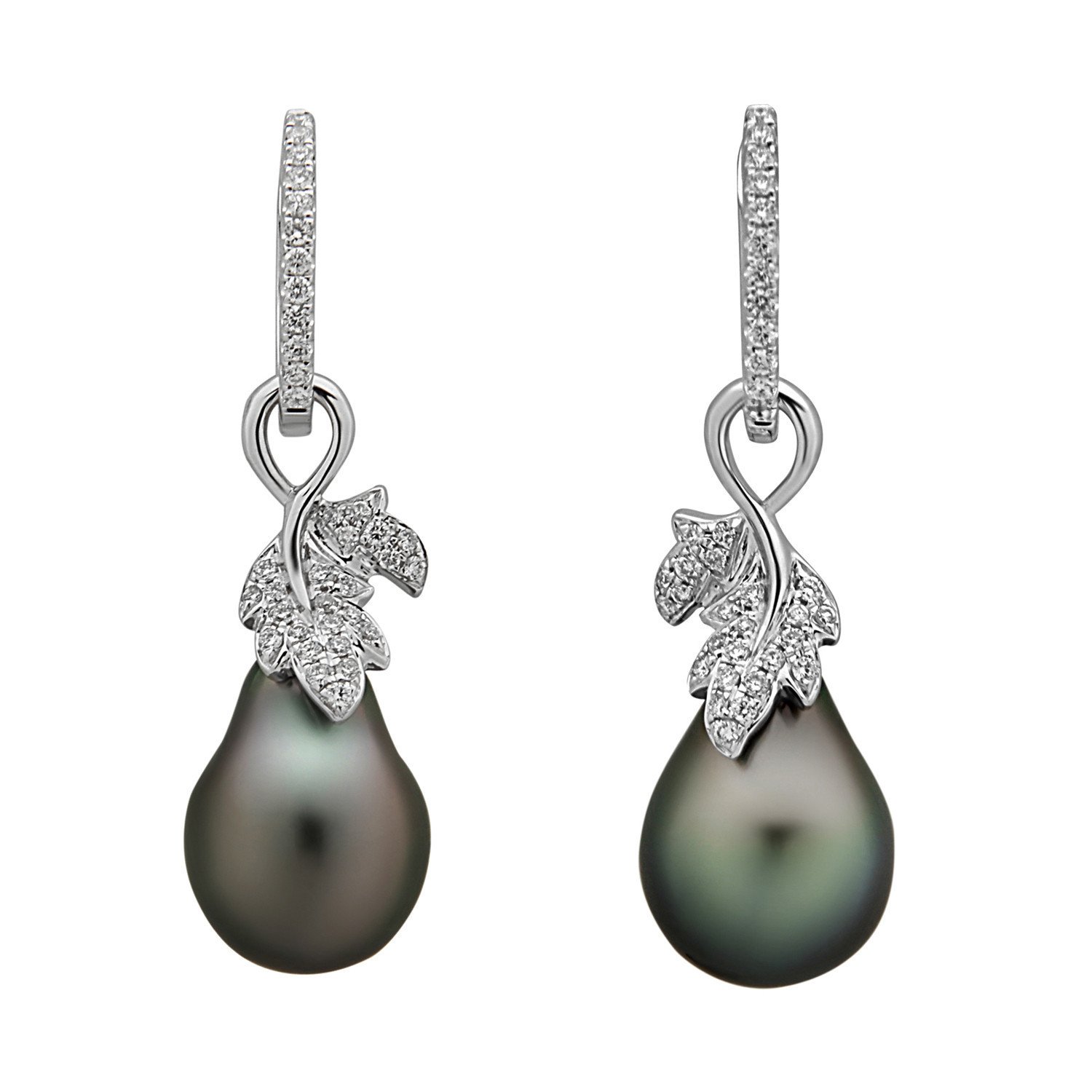 South Sea Golden Leaf Earrings