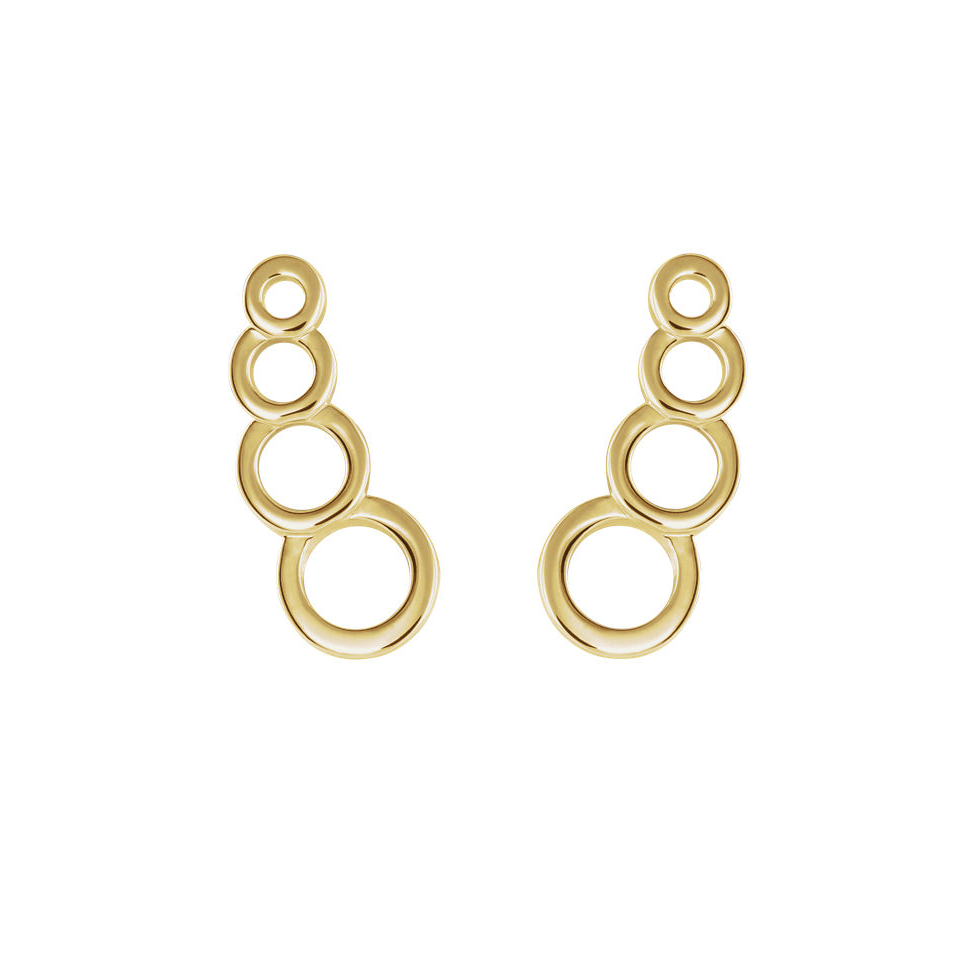 Leaf earrings