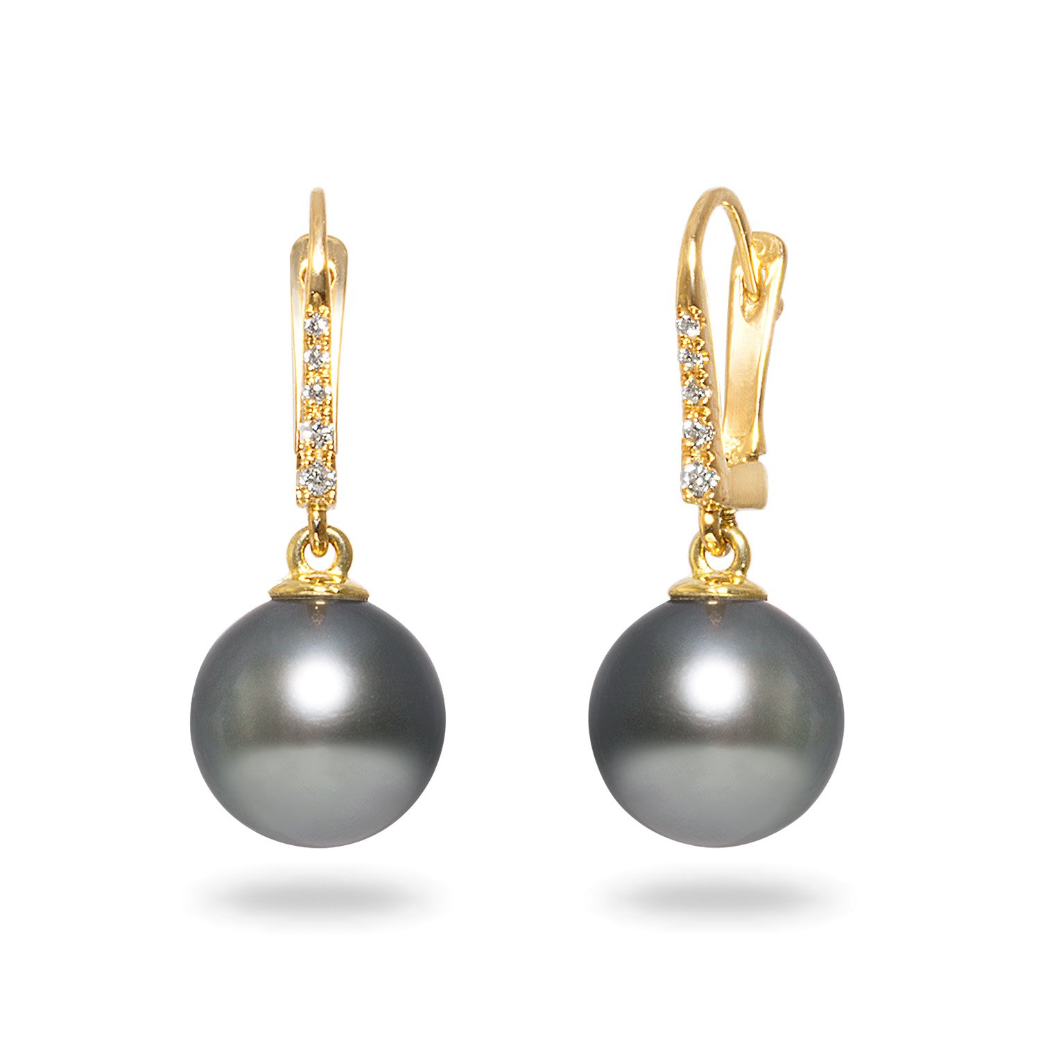 Tahitian Cultured Pearl Earrings