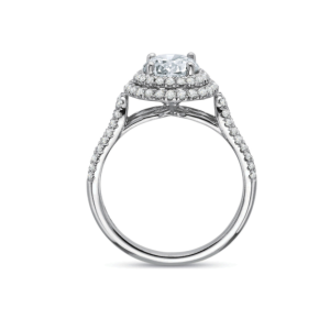 Halo Loop Shank Engagement Ring Setting